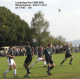 thm_03-1 Weidenh - SVS 7.9.02.gif